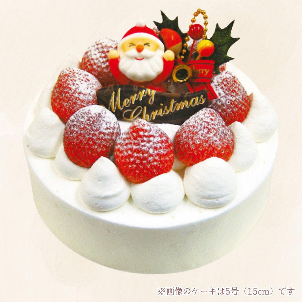いちご生 デコレーション ケーキ