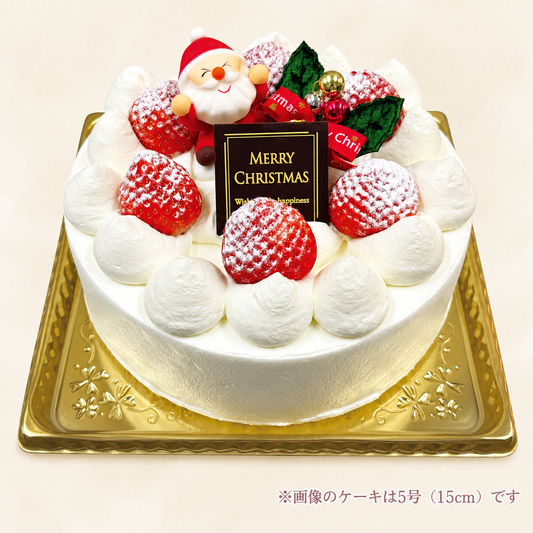 いちご生 デコレーション ケーキ